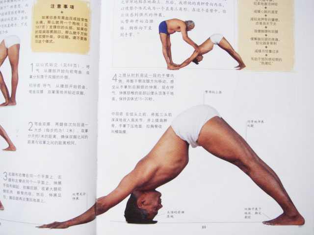 介绍个经典的Iyengar瑜伽体式