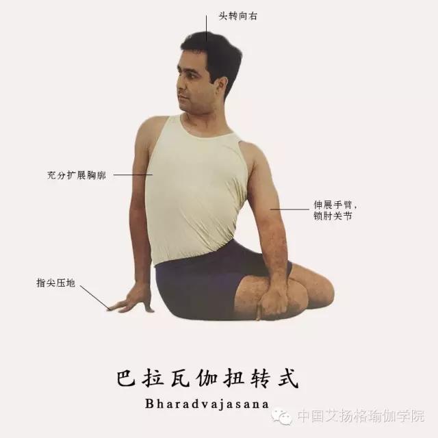 滋养脊柱神经，缓解腰背疼痛：巴拉瓦伽第一式