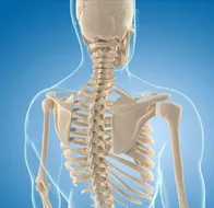骨骼强壮，寿命更长，来一套促进骨骼健康的瑜伽体式吧！