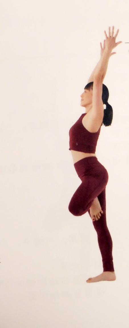 了解运动解剖平面，让你在瑜伽习练中识别身体的结构和不平衡