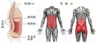 核心是什么？到底该怎样练习？这7个瑜伽动作，全面锻炼你的核心