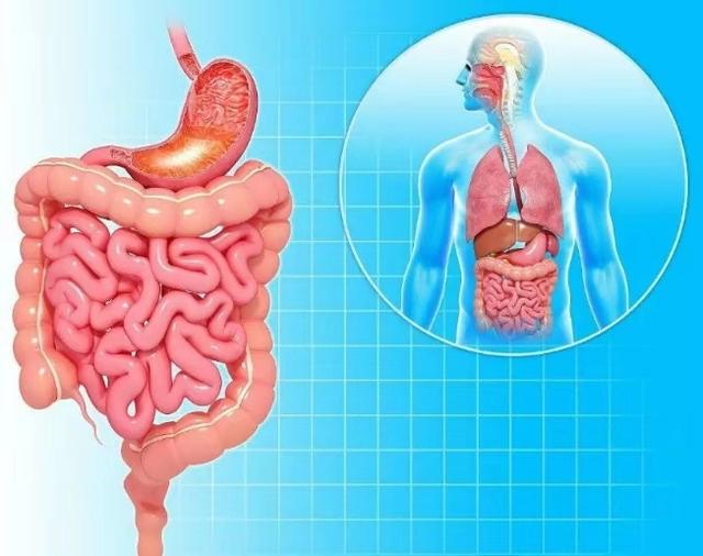 10个瑜伽姿势缓解腹部饱胀并促进消化，饭后一定要试试