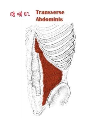 瑜伽核心训练，重要的不仅是怎么做？更是为什么要这样做