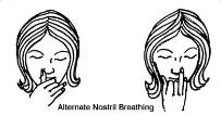 瑜伽呼吸法，不仅仅是呼吸那么简单，这些调息技巧一定要知道
