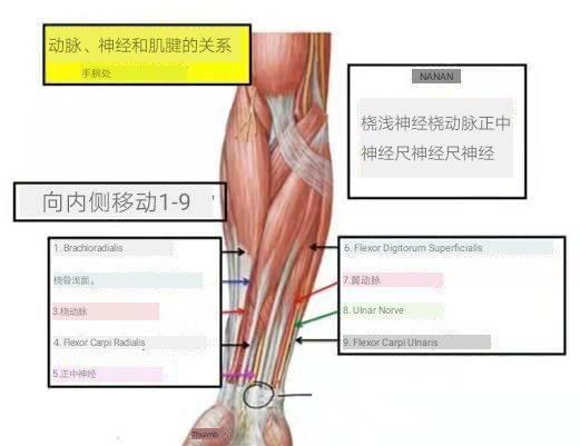 练瑜伽时，最常被忽视的手腕，其实很重要