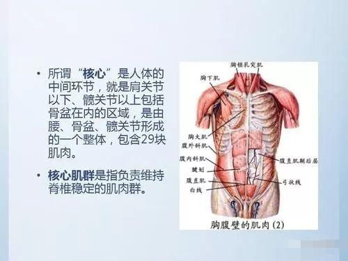 为什么说瑜伽里强大的核心很重要？它不仅仅是让体式更容易哦