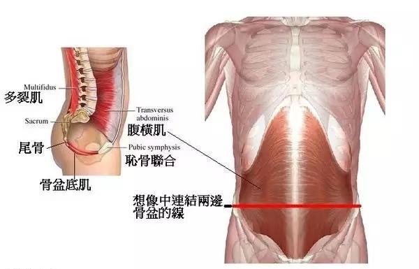 5个超强瑜伽核心训练体式，塑造完美曲线，打造紧致身材