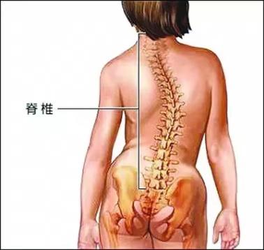 驼背、高低肩、歪脖子、可能不只是体态问题，要引起重视