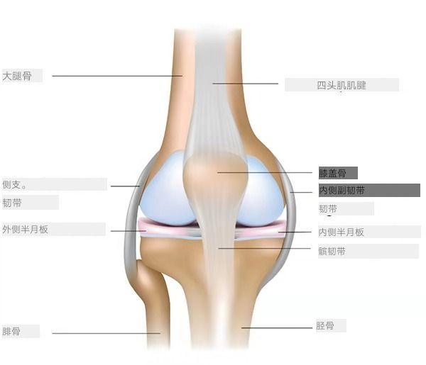 先学会保护膝盖，再开始练瑜伽，这些常见体式尤其要注意