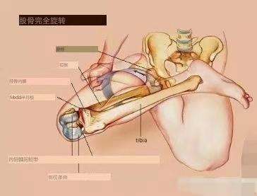 练习瑜伽常见的3种伤害和恢复，了解原理，才能避免伤害