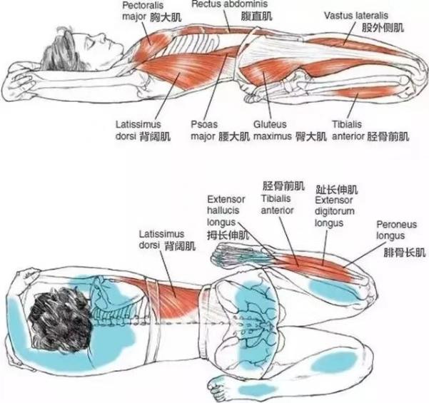 瑜伽仰卧英雄式，恢复体能的黄金姿势，可惜很多人做不到