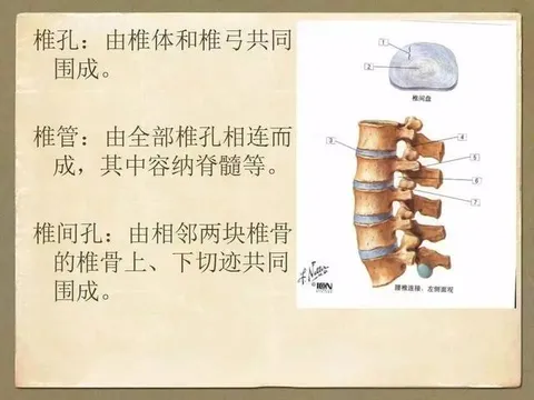 趁年轻保护脊柱，远离肩颈腰背不适，这些瑜伽姿势要常练