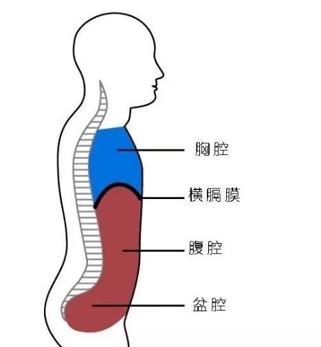 呼吸是瑜伽的灵魂，教你更深入的了解腹式呼吸，让练习更有效