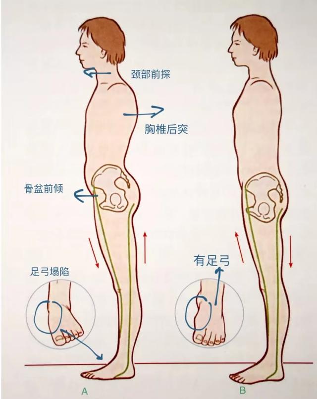 根基不稳，体式不顺，这些稳定根基的技巧和方法你要知道！