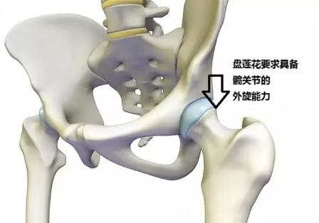 初学瑜伽，如何更好的练习瑜伽莲花坐，试试这些技巧