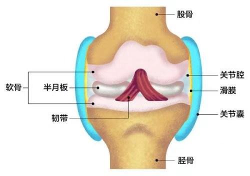 瑜伽练习中如何保护膝盖？这些技巧和常识一定要知道