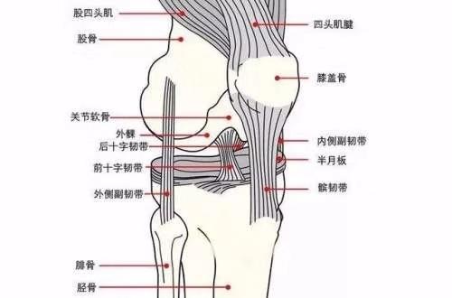 瑜伽练习中如何保护膝盖？这些技巧和常识一定要知道