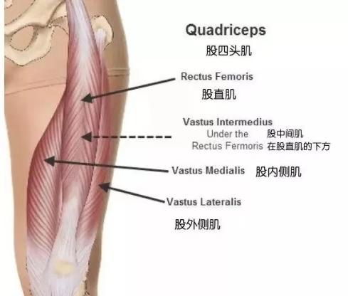 瑜伽练习中如何保护膝盖？这些技巧和常识一定要知道