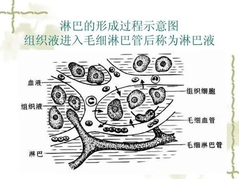 最适合冬季练习的瑜伽序列，帮你疏通人体排毒通道，让你更健康