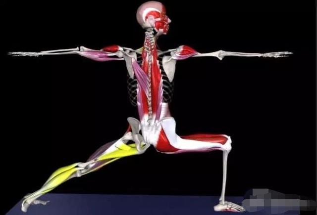 如何在瑜伽练习中保护膝盖安全？哪些体式最容易受伤？了解一下