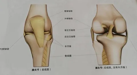 如何在瑜伽练习中保护膝盖安全？哪些体式最容易受伤？了解一下