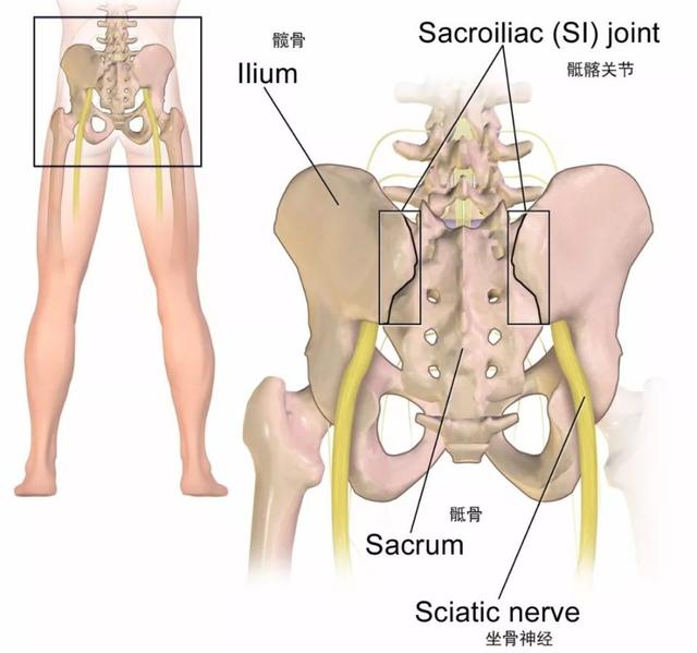 瑜伽练习中不要忽视对骶髂关节的保护，扭转姿势尤其要注意