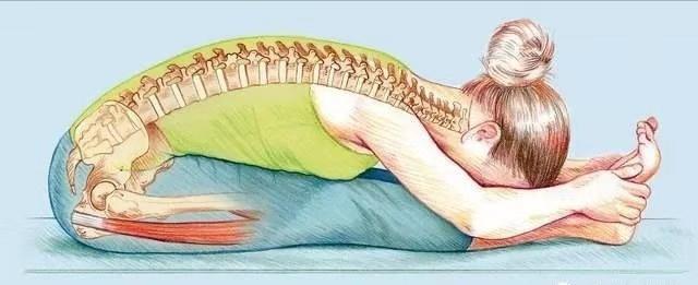 这些类型的姿势伸展背部也容易受伤，了解原理正确练习很重要