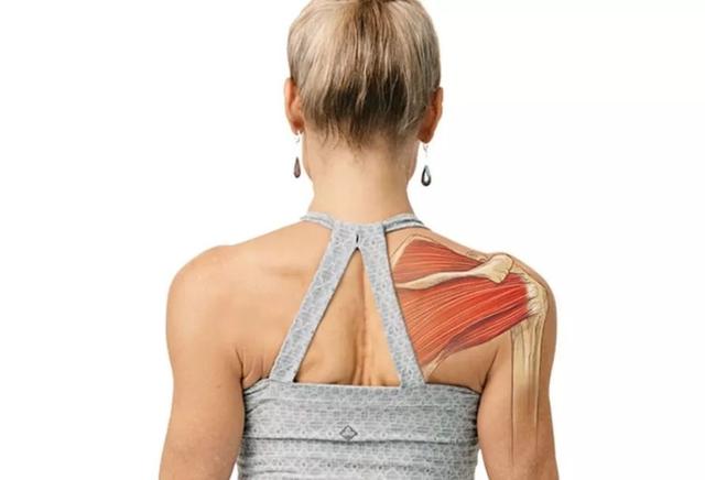 久坐肩颈不适？这些瑜伽练习有效缓解疼痛，改善体态