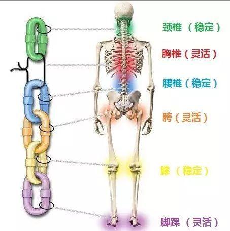 练瑜伽，灵活胸椎很重要，这些体式全方位灵活胸椎，一定要试试