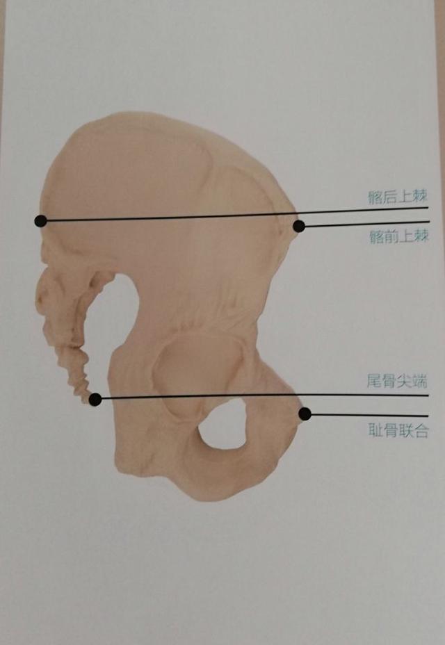 你以为的翘臀，可能是骨盆前倾，瑜伽练习助你改善骨盆前倾！