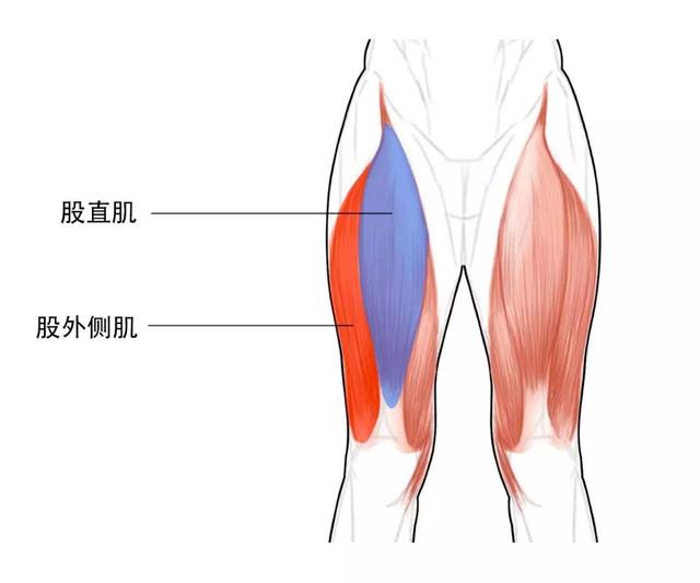 久坐导致髋屈肌紧，下背痛？瑜伽练习有效紧致臀部改善髋屈肌！