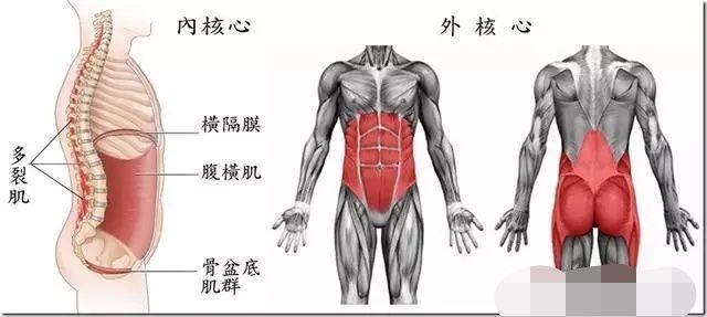 10分钟瑜伽核心力量练习，有效增强你的核心力量！