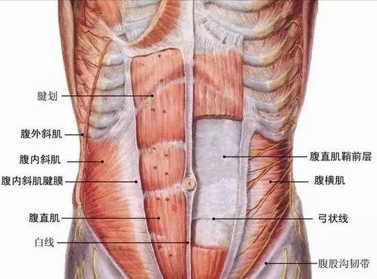 这些简单的瑜伽姿势，有效增强您的核心力量，让腰腹更紧实