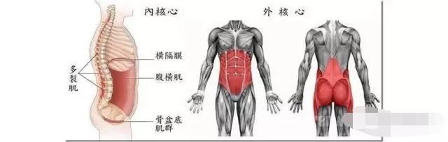 这些简单的瑜伽姿势，有效增强您的核心力量，让腰腹更紧实