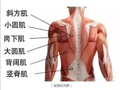 赵丽颖晒健身照：蝴蝶背小蛮腰抢镜，网友：好身材都是练出来的