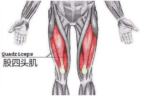 大腿前侧紧，腿粗难看？这些瑜伽动作要常练