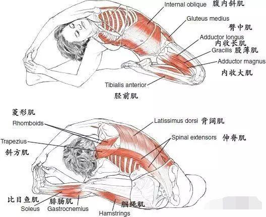 这些技巧，让头碰膝前屈伸展式做起来更轻松，还能轻松瘦腰