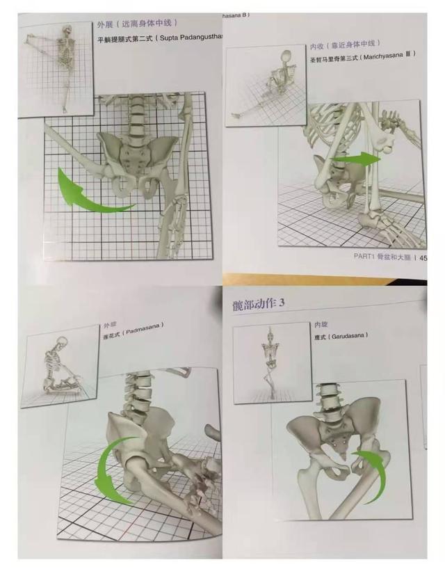 12个动作，助你全方位打开髋部，自己在家随时可做