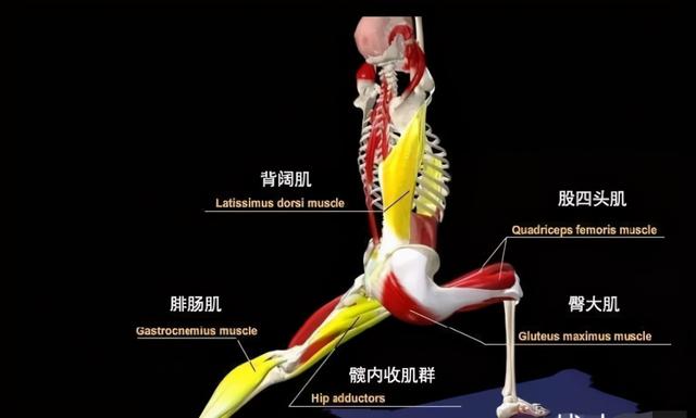 瑜伽如何改善关节健康？哪些体式最适合？