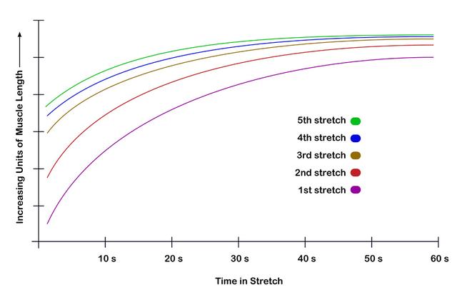 初学者练瑜伽一字马，这样拉伸大腿，效果最好