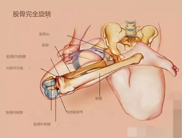 为啥练瑜伽很多年，还是不能完成全莲花