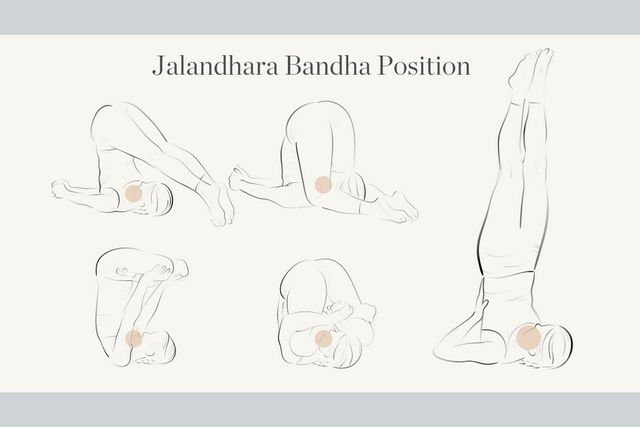 什么是Bandhas？如何在瑜伽练习中运用它们