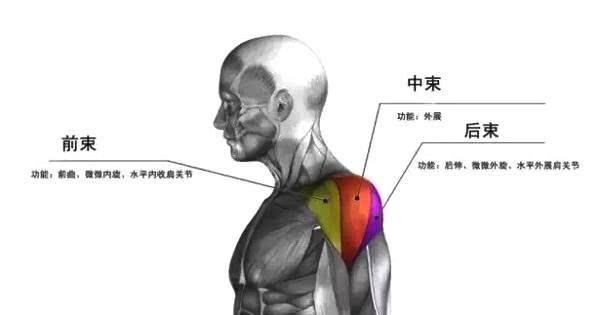 如何做一个漂亮的轮式？