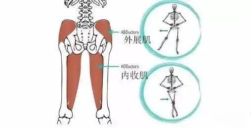 练瑜伽，关于核心的这些常识你一定要知道