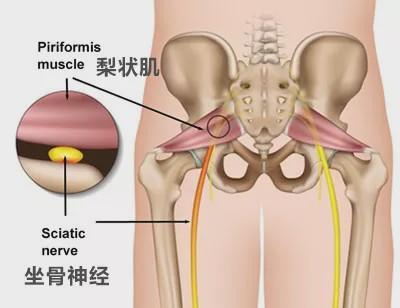 练瑜伽，关于核心的这些常识你一定要知道