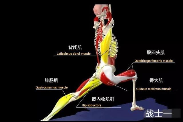 瑜伽战士一髋部如何摆正，怎么练习更精准？