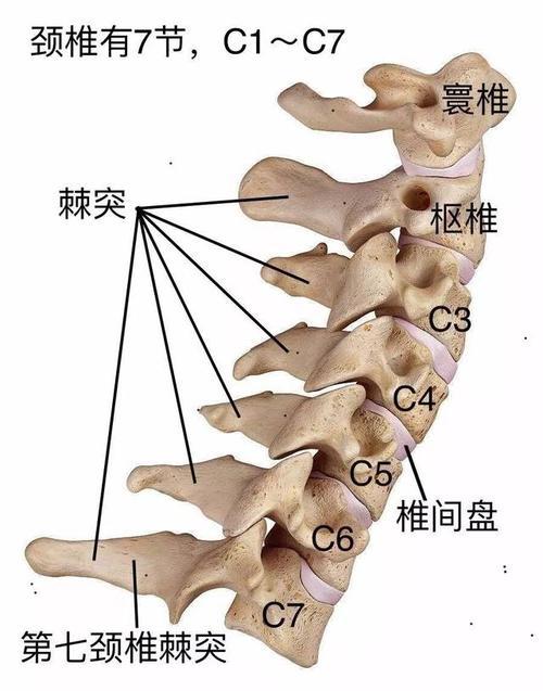 肩颈堵塞僵硬，3个瑜伽体式轻松搞定，比按摩还有效