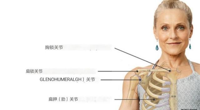 练瑜伽，稳定肩关节的练习，千万别忽视