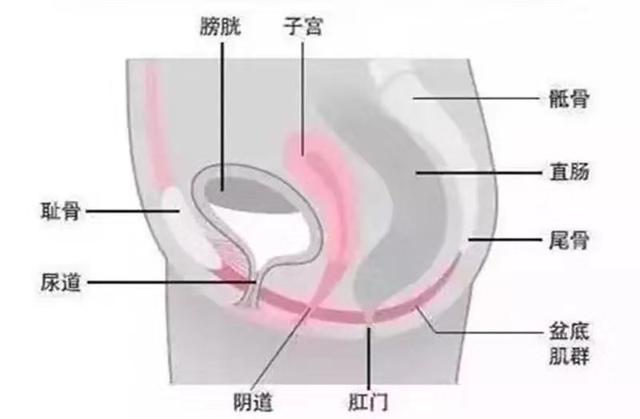 练瑜伽，如何加强盆底肌？这几个动作要常练