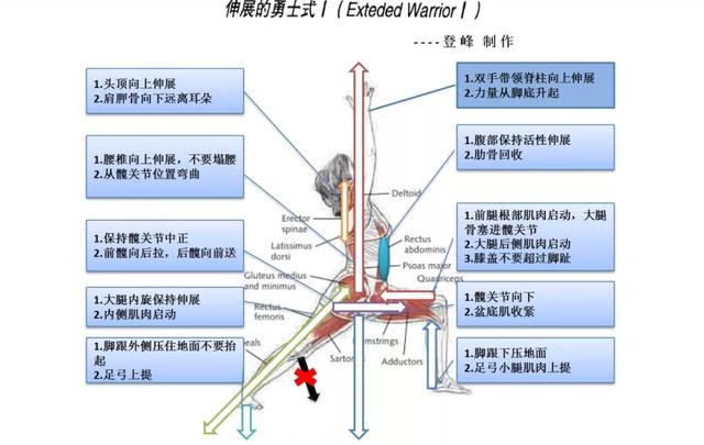 这些常见的解剖学术语，你都理解了吗？